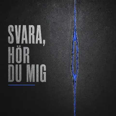 Hoes van station 03, Svara — Hör du mig